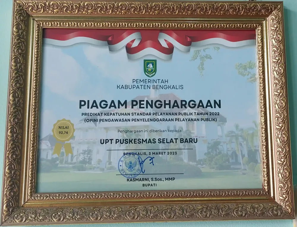 Piagam penghargaan ombudsman